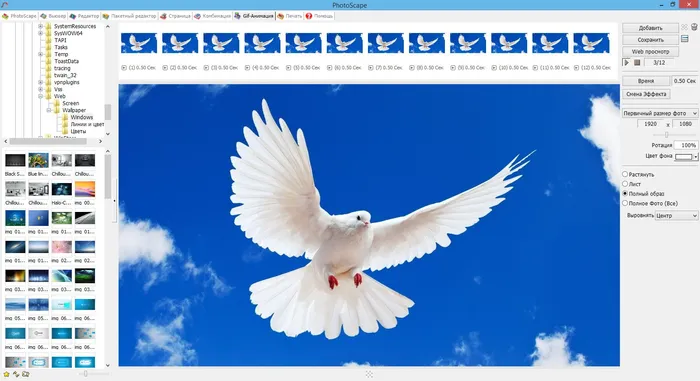 Photoscape